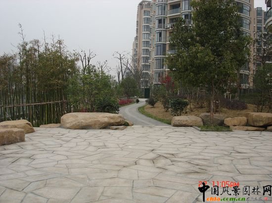 ����悖|�Ӿ��^����