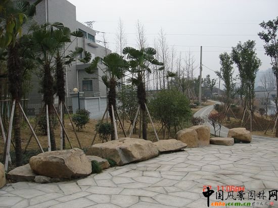 ����悖|�Ӿ��^����