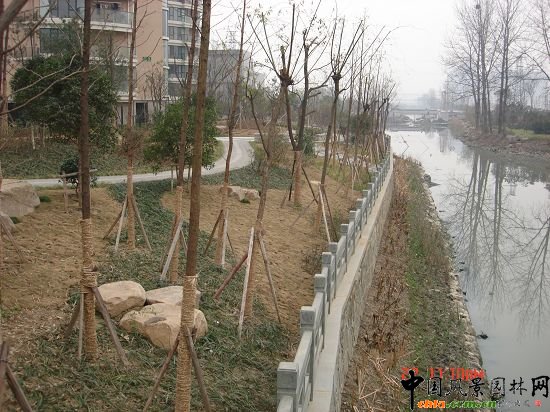 �����(zh��n)�|�Ӿ��^����