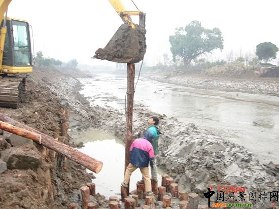 ����悖|�Ӿ��^����