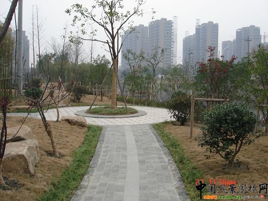 ����悖|�Ӿ��^����