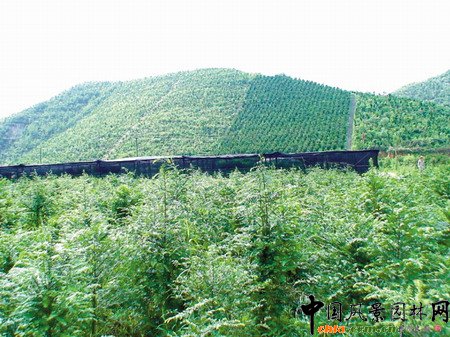 ֲ�����؈�� �ιʏV�|�M�ǡ��ܡ�