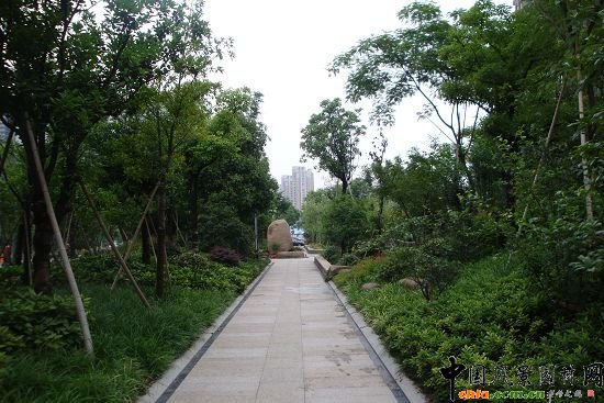 ���ݺ�����һ�ڹ���