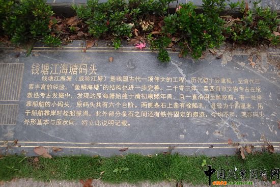 ���ݺ�����һ�ڹ���