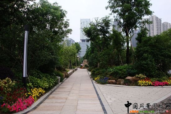 ֲ������