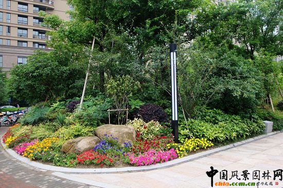 ֲ������