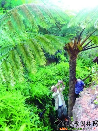 ��ϡ�PͲ��߀���Ў���?(