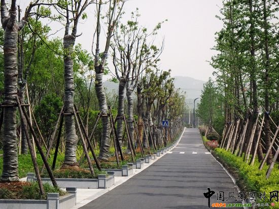 �����ОI���^�L����·�G������