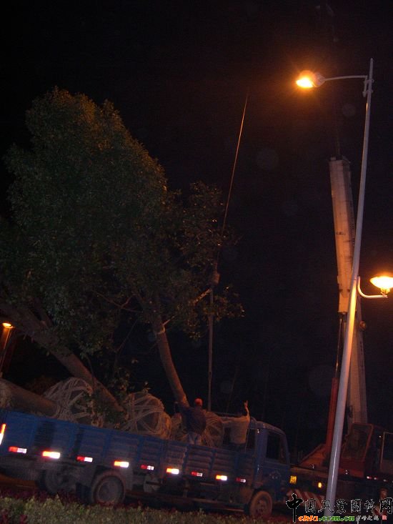 �����ОI���^�L����·�G������