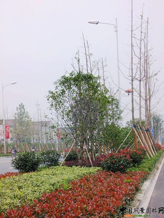 �����ОI���^�L����·�G������