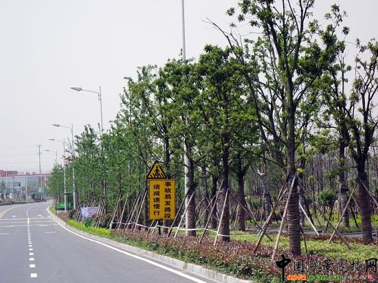 �����ОI���^�L����·�G������