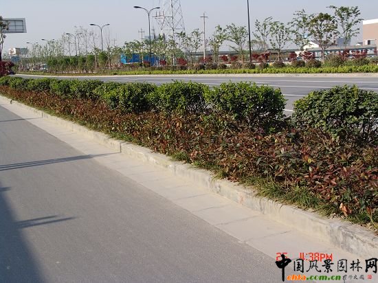 ���ݾ���·�G������