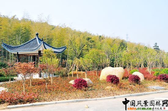 ����320�����ɂȾC�����ξG������