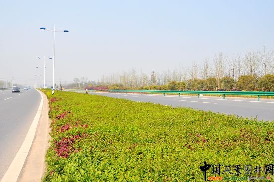 ����320�����ɂȾC�����ξG������