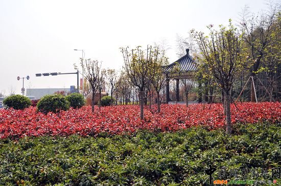 ����320�����ɂȾC�����ξG������