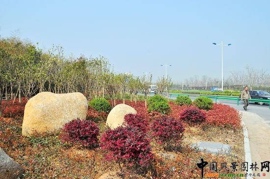 ����320�����ɂȾC�����ξG������