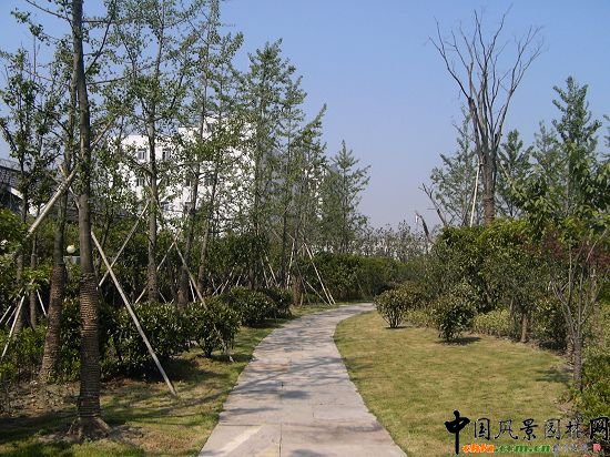 ����ʯ��·�����^�ξG�����̢��