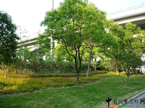 ����ʯ��·�����^(q��)�ξG�����̢��