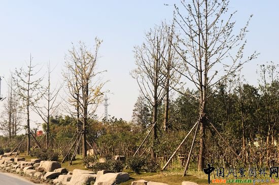 ����ʯ��·�����^(q��)�ξG�����̢��