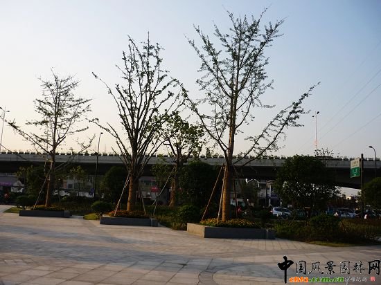 ����ʯ��·�����^�ξG�����̢��