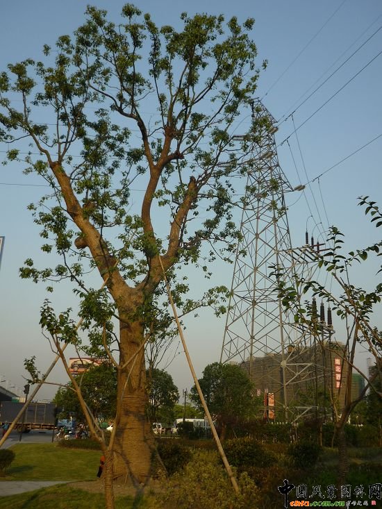 ����ʯ��·�����^�ξG�����̢��