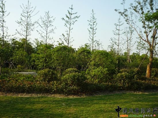 ����ʯ��·�����^�ξG�����̢��