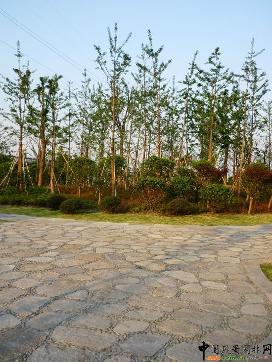 ����ʯ��·�����^�ξG�����̢��