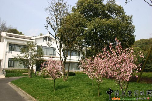 �Ϻ��F·���X�����BԺ���칤��