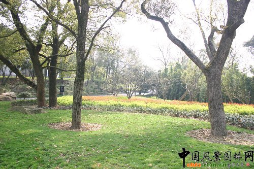 �Ϻ��F·���X�����BԺ���칤��