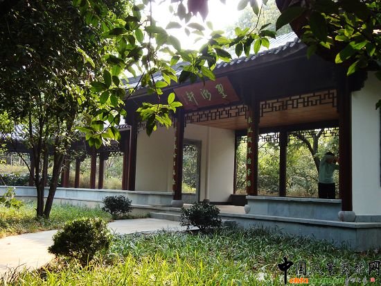 �����а�ɽ���@�ĔU��һ�ڹ���