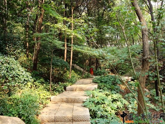 �����а�ɽ���@�ĔU(ku��)��һ�ڹ���