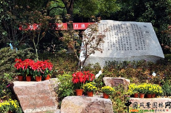 �����а�ɽ���@�ĔU��һ�ڹ���