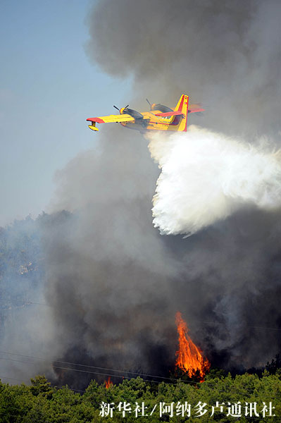 ��������ٺ����ε���Ɲ�ܠ�ʡ�l(f��)��ɭ�ֻ�ģ��D��