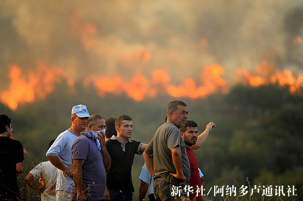 ��������ٺ����ε���Ɲ�ܠ�ʡ�l(f��)��ɭ�ֻ�ģ��D��