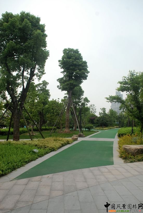 �������X���³�һ̖������_���^����