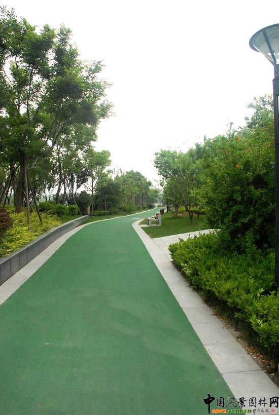 �������X���³�һ̖������_���^����