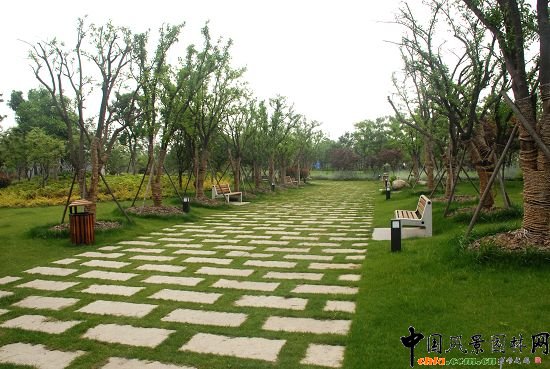 �������X���³�һ̖������_���^����