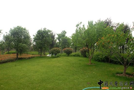 �������X���³�һ̖������_���^����