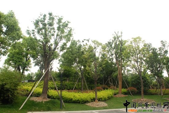 �������X���³�һ̖������_���^����