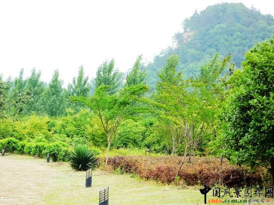 ���ݺ���\�Ӿ��^�G������