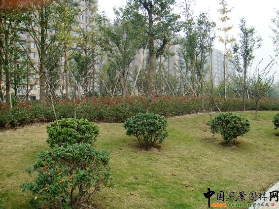 ������ɽ�|·���ȾG�����ڹ���