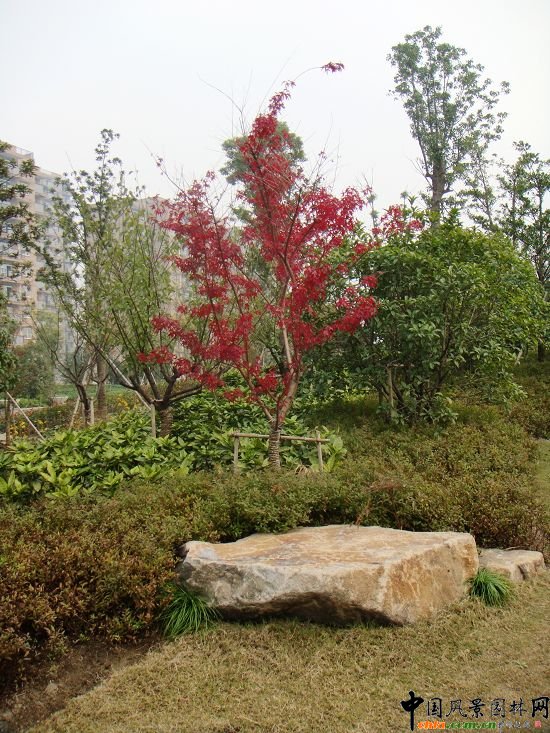 ������ɽ�|·���ȾG�����ڹ���