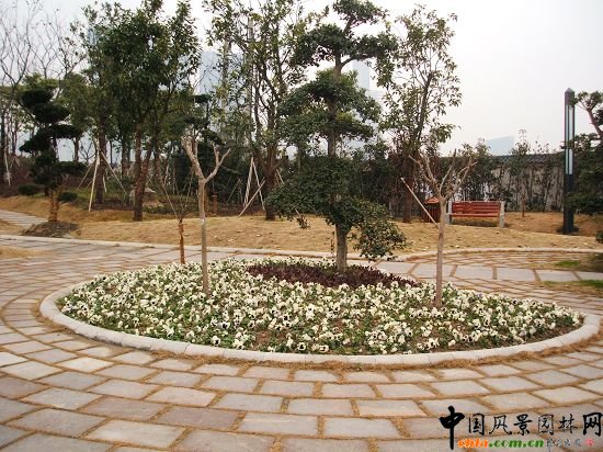 �������X��·�G�����ι���