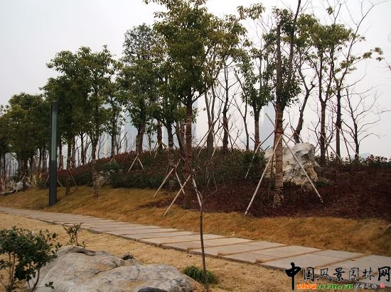 �������X��·�G�����ι���