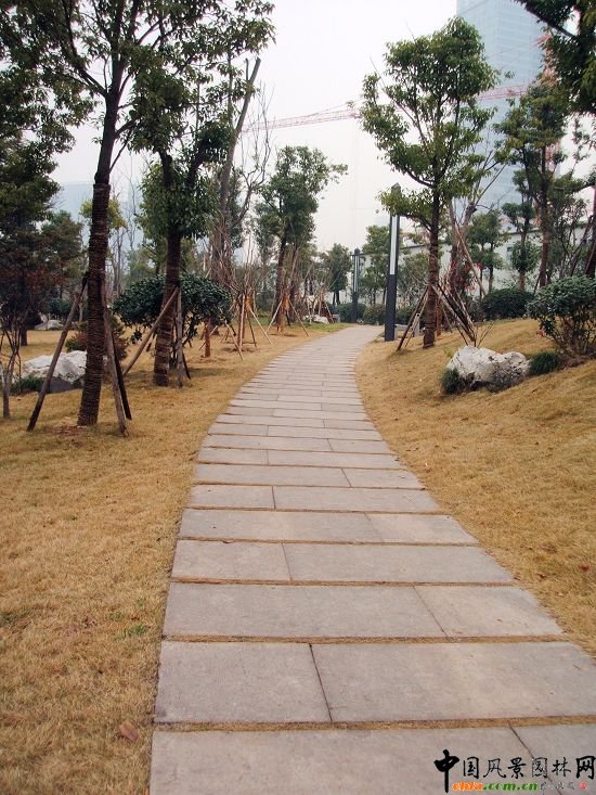 �������X��·�G�����ι���