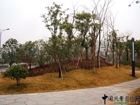 �������X��·�G�����ι���