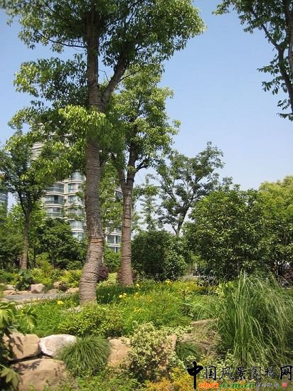 ����֮��·�Ϗ�·����ڵ��ȾG������