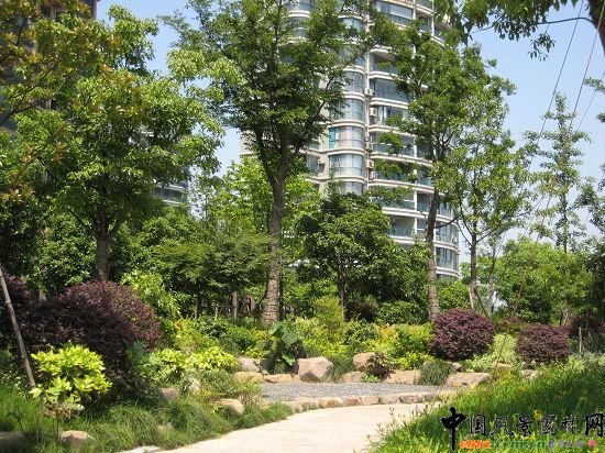 ����֮��·�Ϗ�·����ڵ��ȾG������