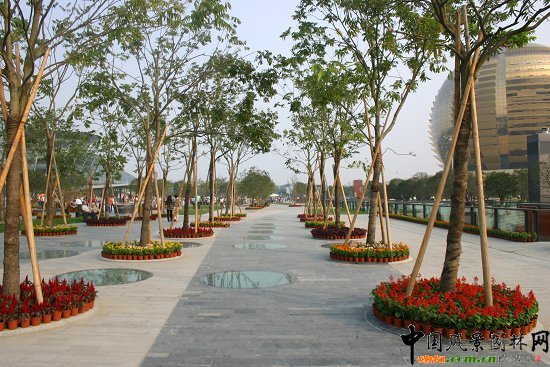 �����X���³Ǻ��ą^(q��)�����Ļ���(����)����