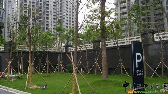 ��������ˮӡ�ǭh�����^����